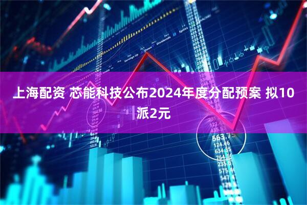 上海配资 芯能科技公布2024年度分配预案 拟10派2元