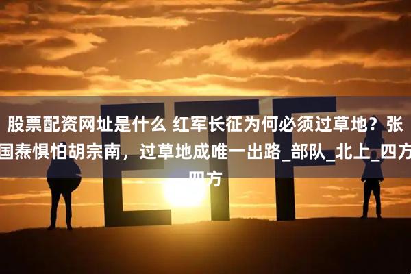 股票配资网址是什么 红军长征为何必须过草地？张国焘惧怕胡宗南，过草地成唯一出路_部队_北上_四方